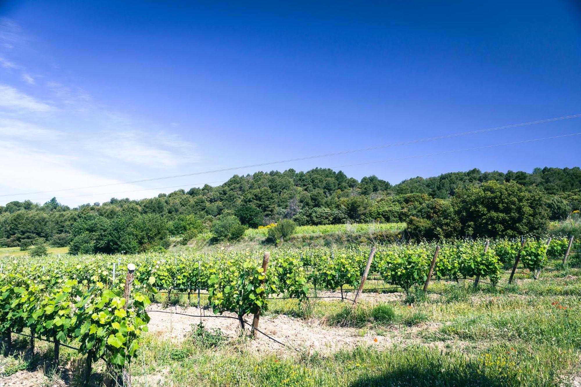 Domaine Des Peyre Apartment Robion en Luberon Exterior photo